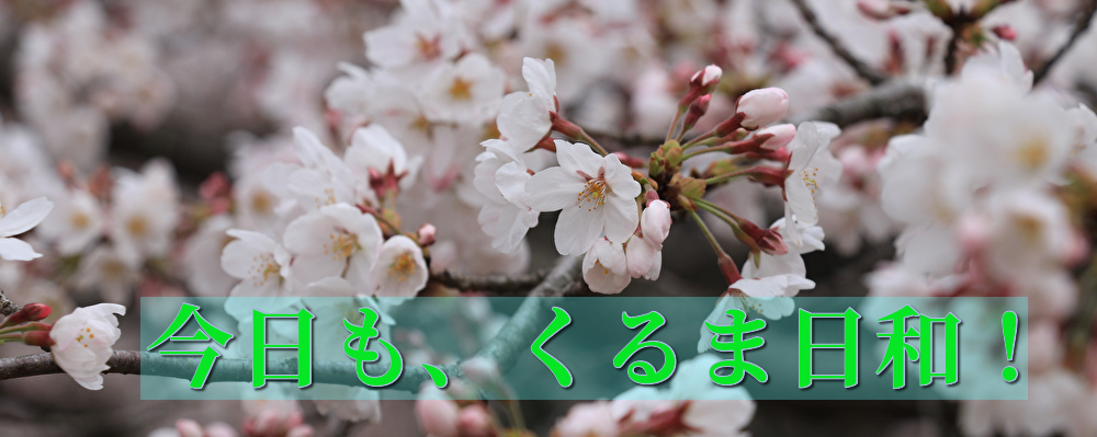 今日も、くるま日和！